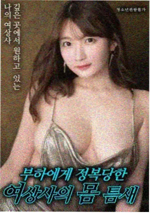 静默高墙 海报